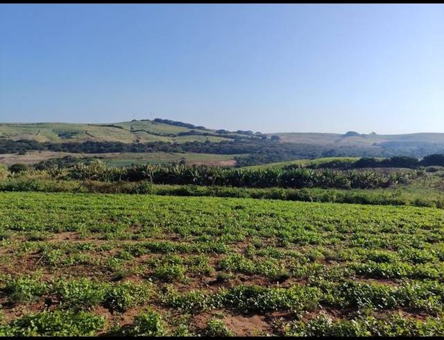 LAND FOR SALE IN GENAZZANO